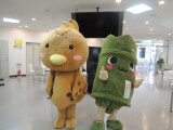 DSCN4550