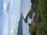 image_67173889