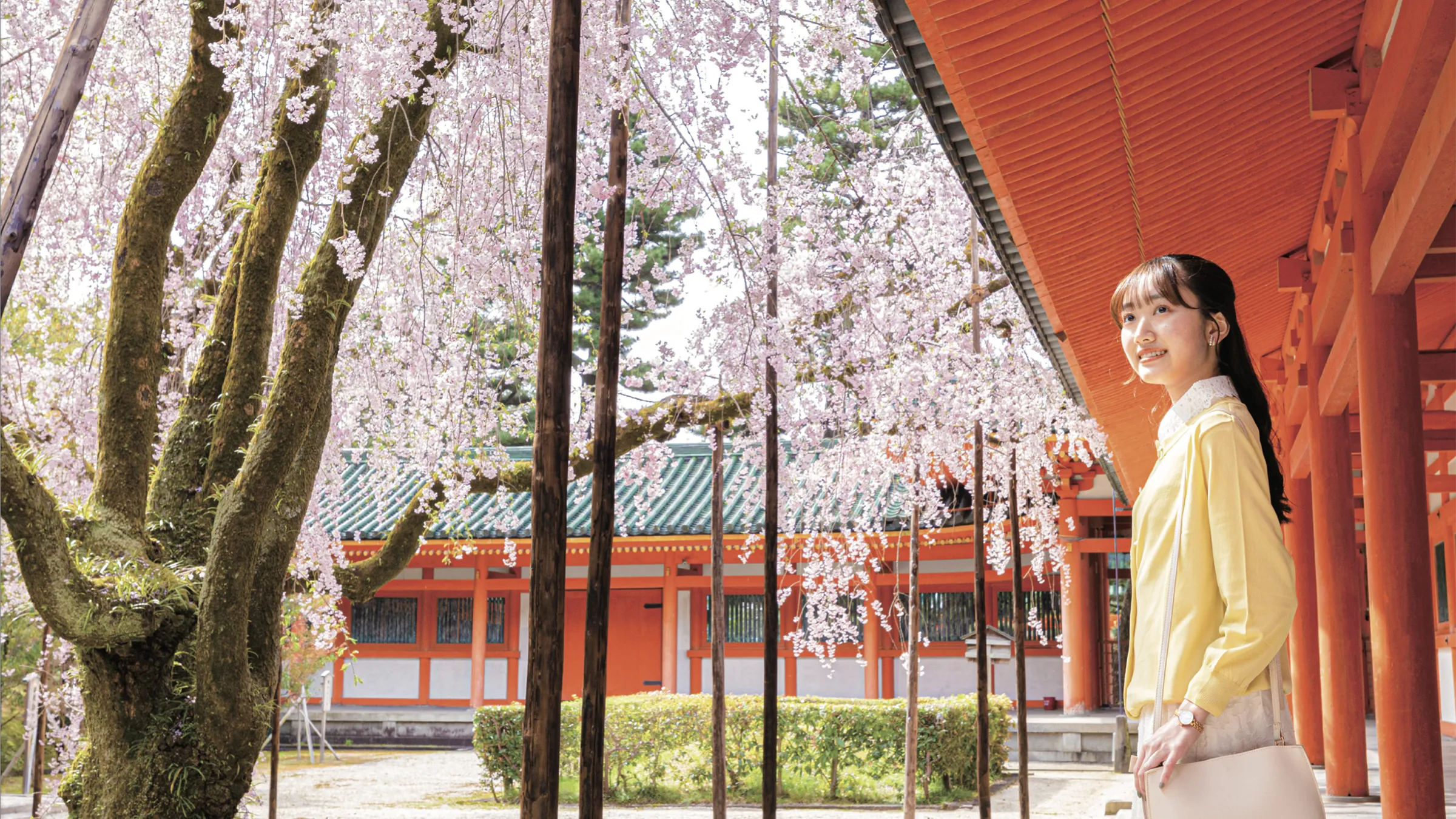 京都で未来をつかむ。京都経済短期大学