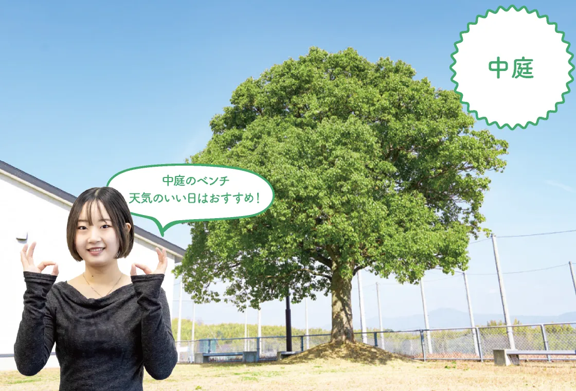 中庭