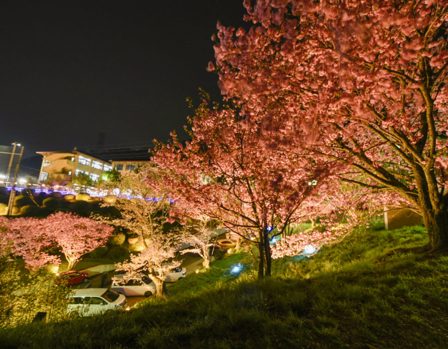 京都成章高校