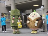 DSCN5209